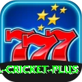 sl cricket Champion Casino App