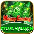 steve waugh App