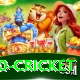 t20 cricket Premium Plus v1.8.3
