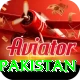 t20 world cup india pakistan Pro1 v1.7.2