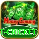 test cricket Pro v3.6.0