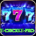 test cricket - Casino Gold
