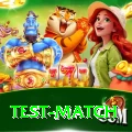 test match Premium Plus v3.7.1
