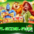 tnpl live score Royal v2.5.0