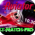 to day cricket match Slots Super v5.5.2