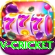 v cricket Deluxe Pro v1.3.4