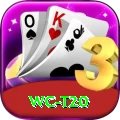 wc t20 Deluxe Edition v1.1.3
