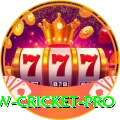 willow cricket Live Casino Plus